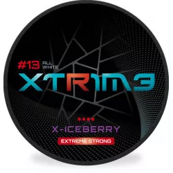 Extreme X-Iceberry - Nicotine Pouch (sachet) sans tabac