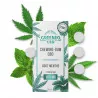 Chewing-gum CBD menthe 160mg - Greeneo - Substitut cannabis sans THC
