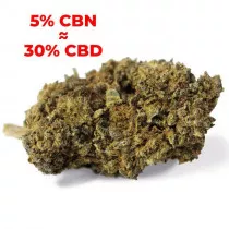 Amnesia Haze 15% CBN (Pop corn) Indoor Green Carpathes  - Chanvre Cannabidiol