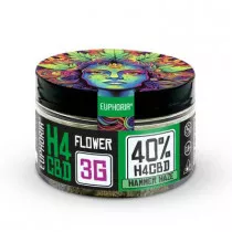 Euphoria 40% H4CBD Fleurs Hammer Haze 3g - H4CBD (CBD hydrogéné)