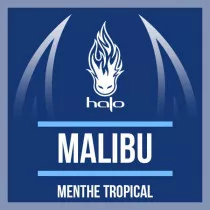 CONCENTRÉ MALIBU - HALO