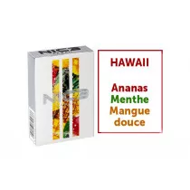NIC3 Ananas Menthe Mangue douce - Mélasse de chicha (shisha) - Chicha sans tabac